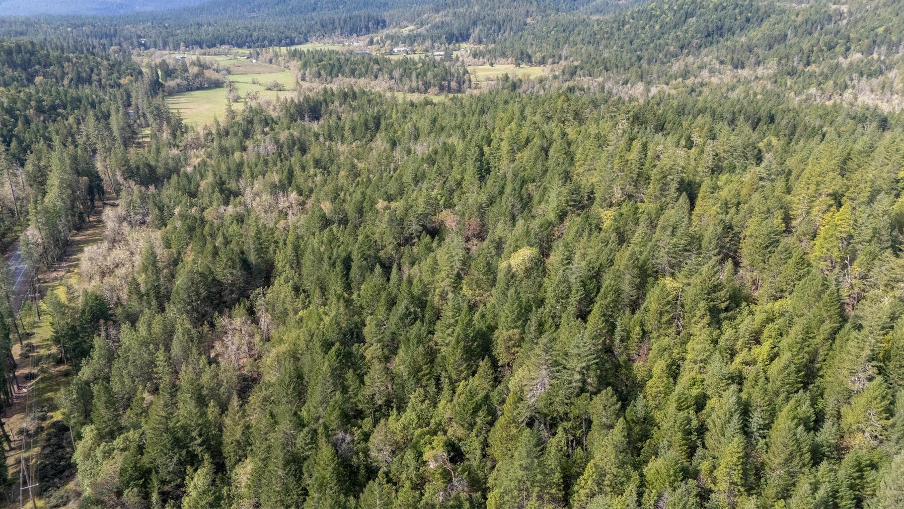 Photo of Redwood 4 of 9