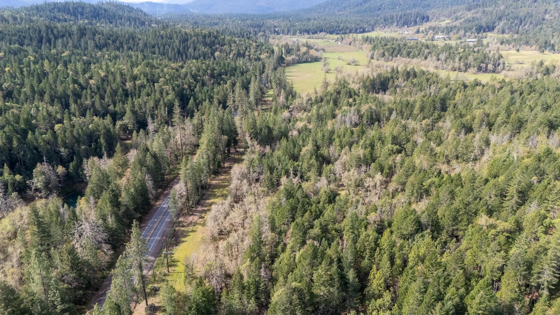 Photo of Redwood 5 of 9
