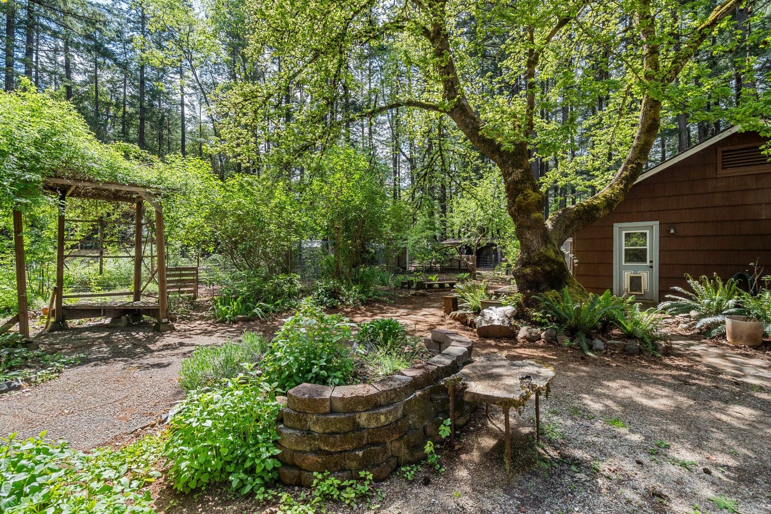 27562 Redwood