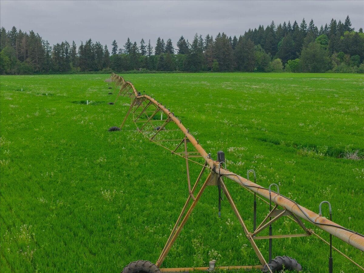 Photo of 15361 Jefferson Highway 99E(Next To) 4 of 27