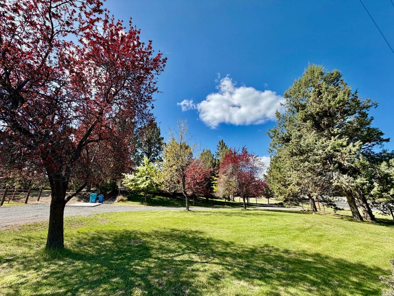 Photo of 20275 Rogers Road 3 of 39