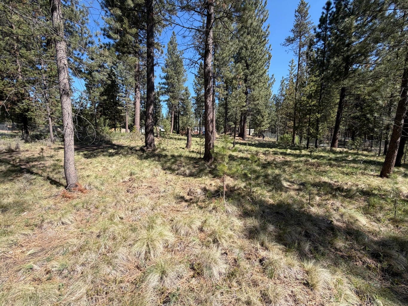 Photo of 17019 Upland Road 11 of 14