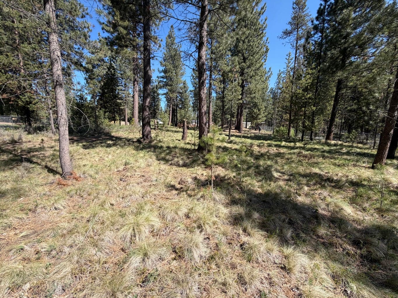 Photo of 17019 Upland Road 12 of 14