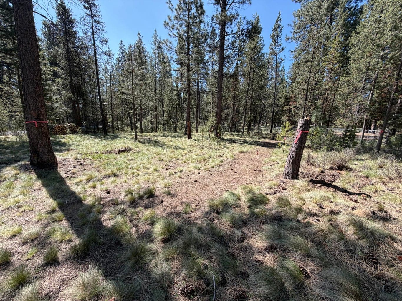 Photo of 17019 Upland Road 13 of 14