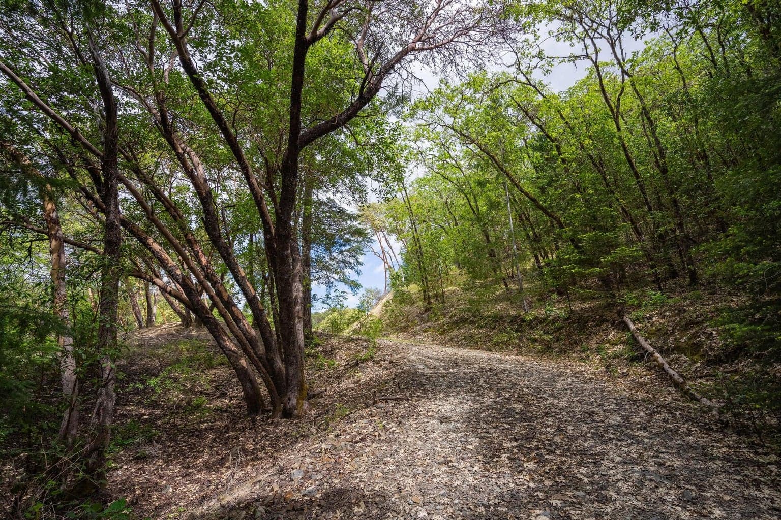 Photo of 202 Westridge 3 of 30