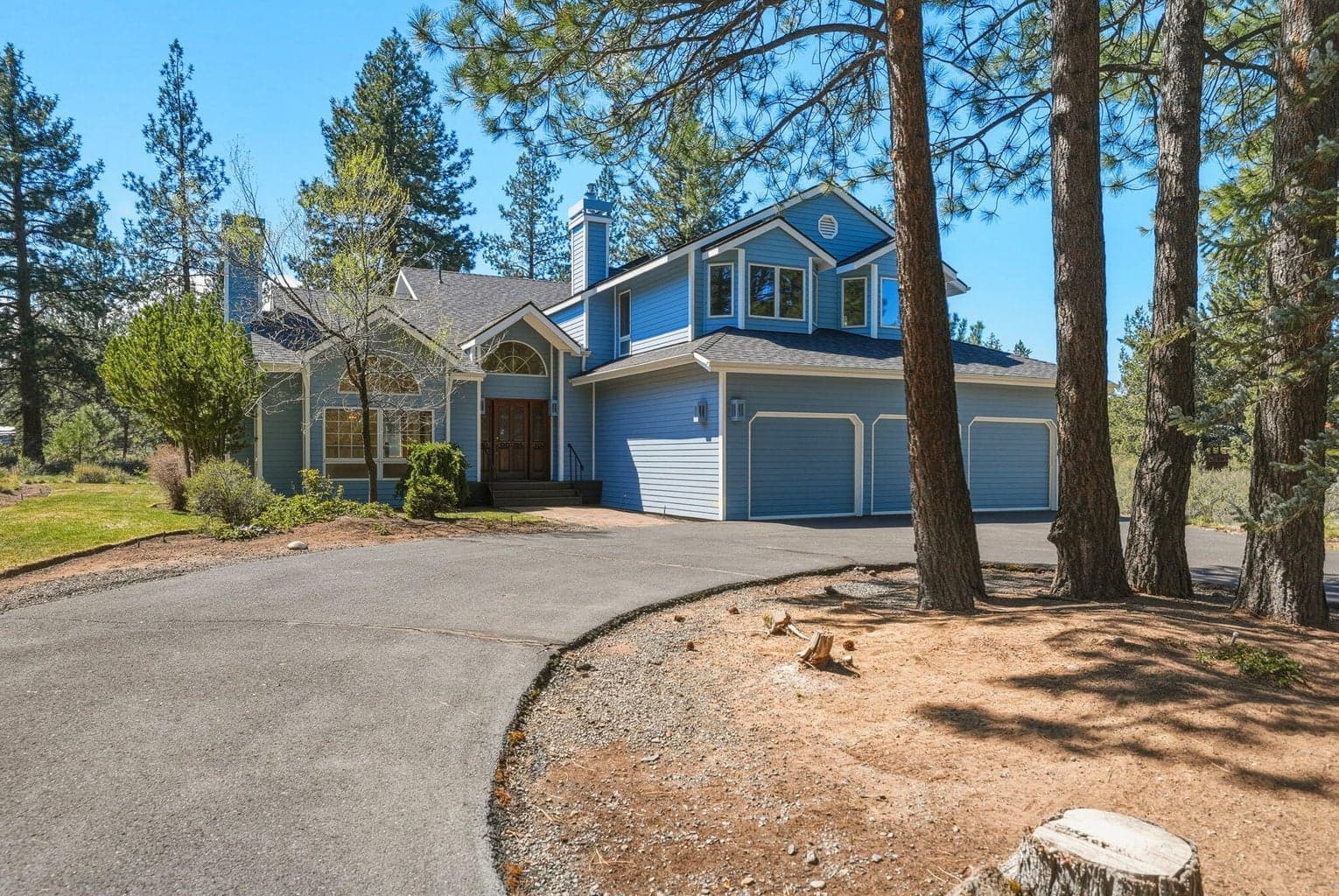 Photo of 60309 Tall Pine 4 of 83