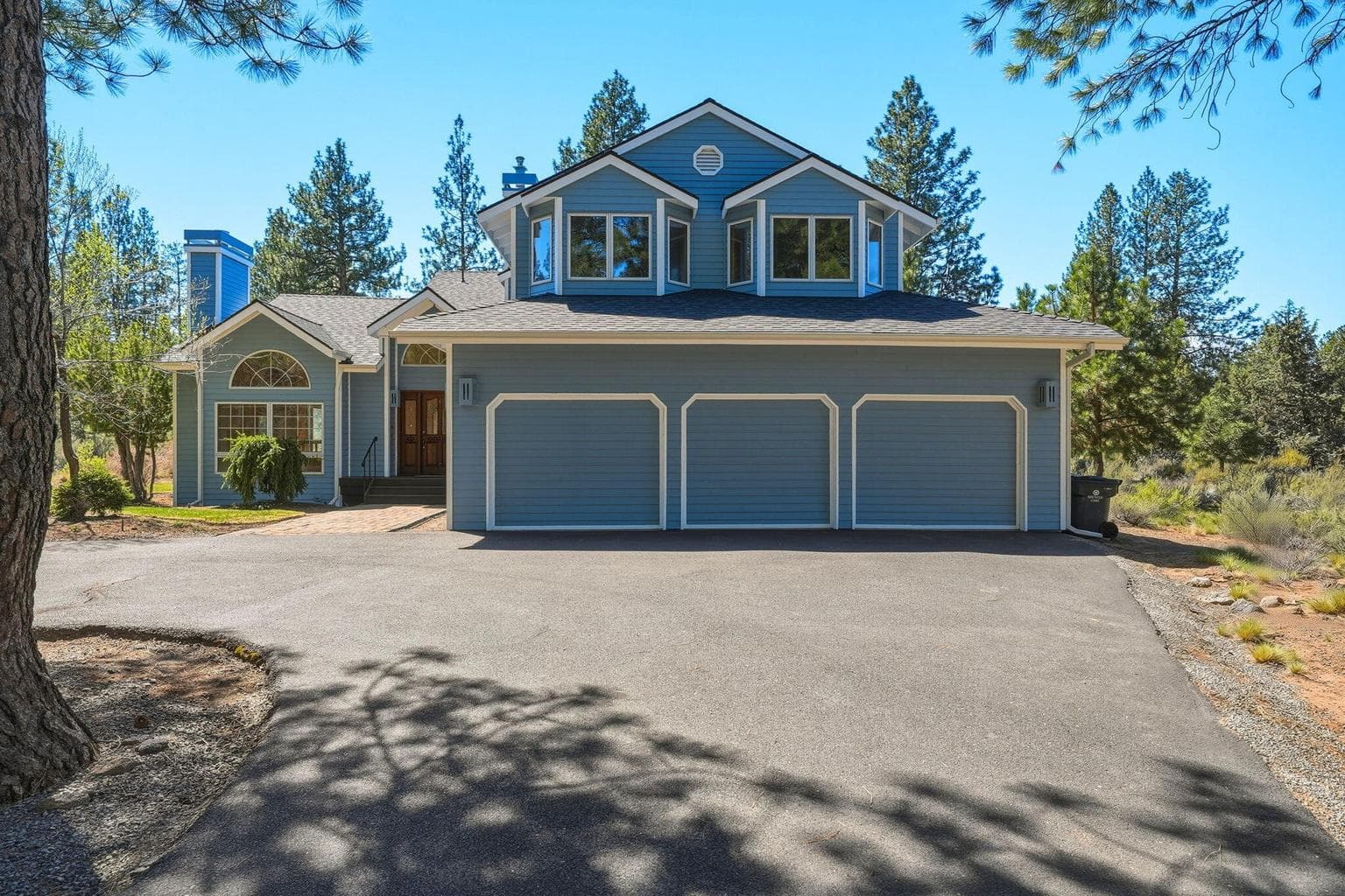 Photo of 60309 Tall Pine 2 of 83