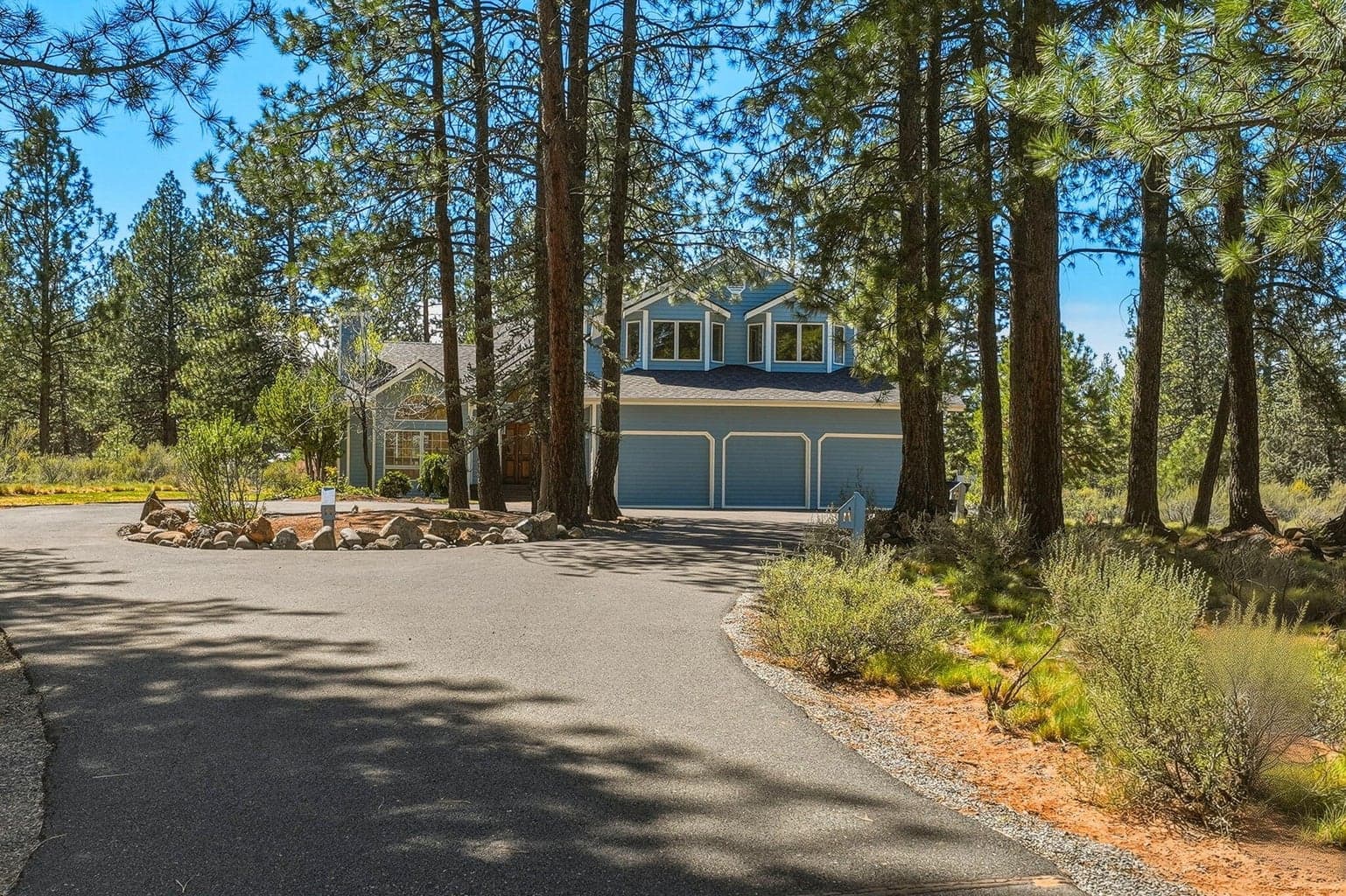 Photo of 60309 Tall Pine 3 of 83