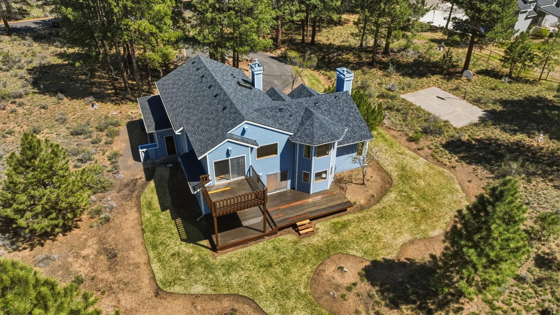 60309 Tall Pine