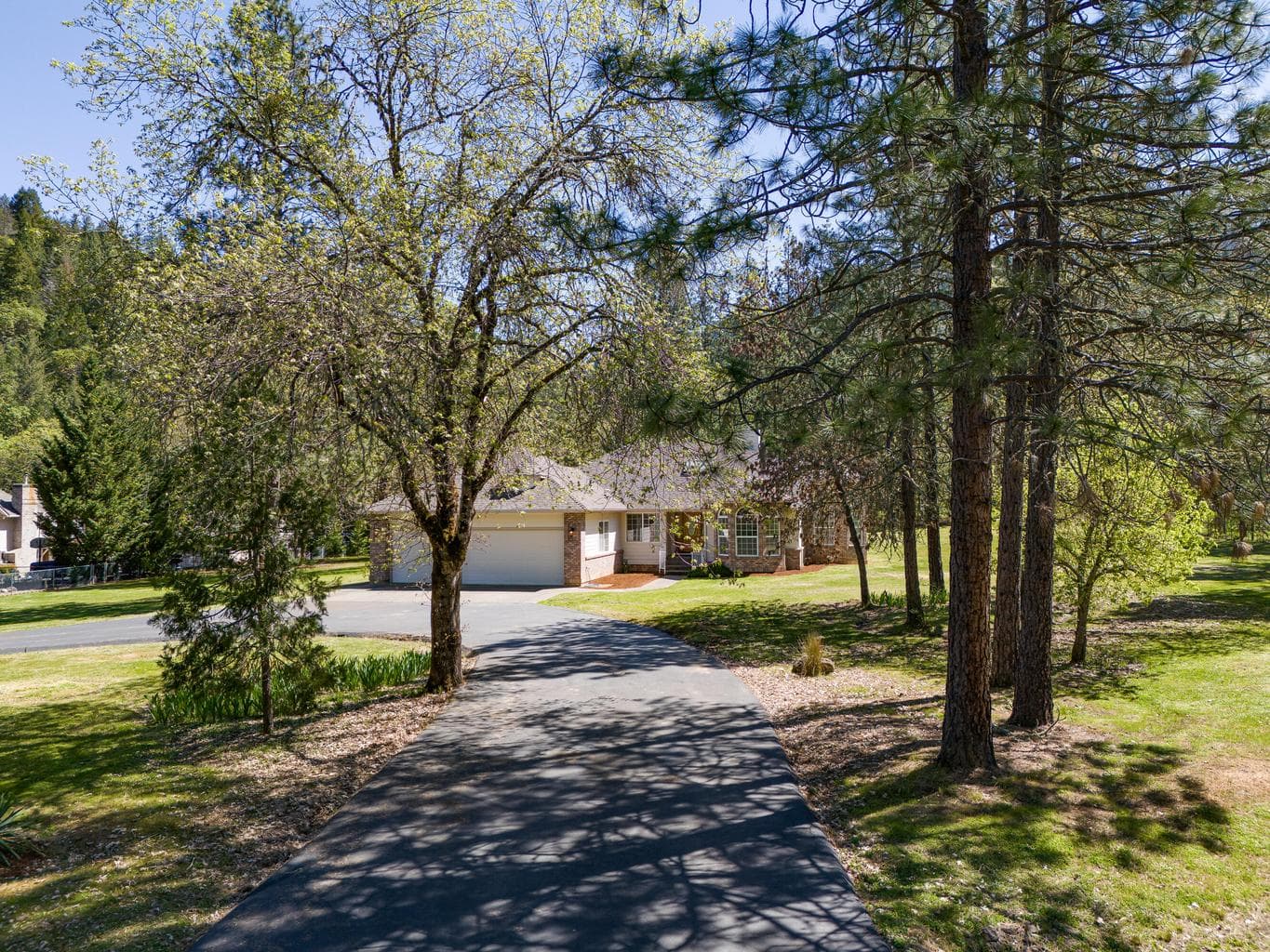 Photo of 459 Savage Creek 3 of 58