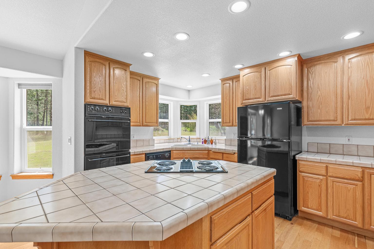 Photo of 459 Savage Creek 4 of 58
