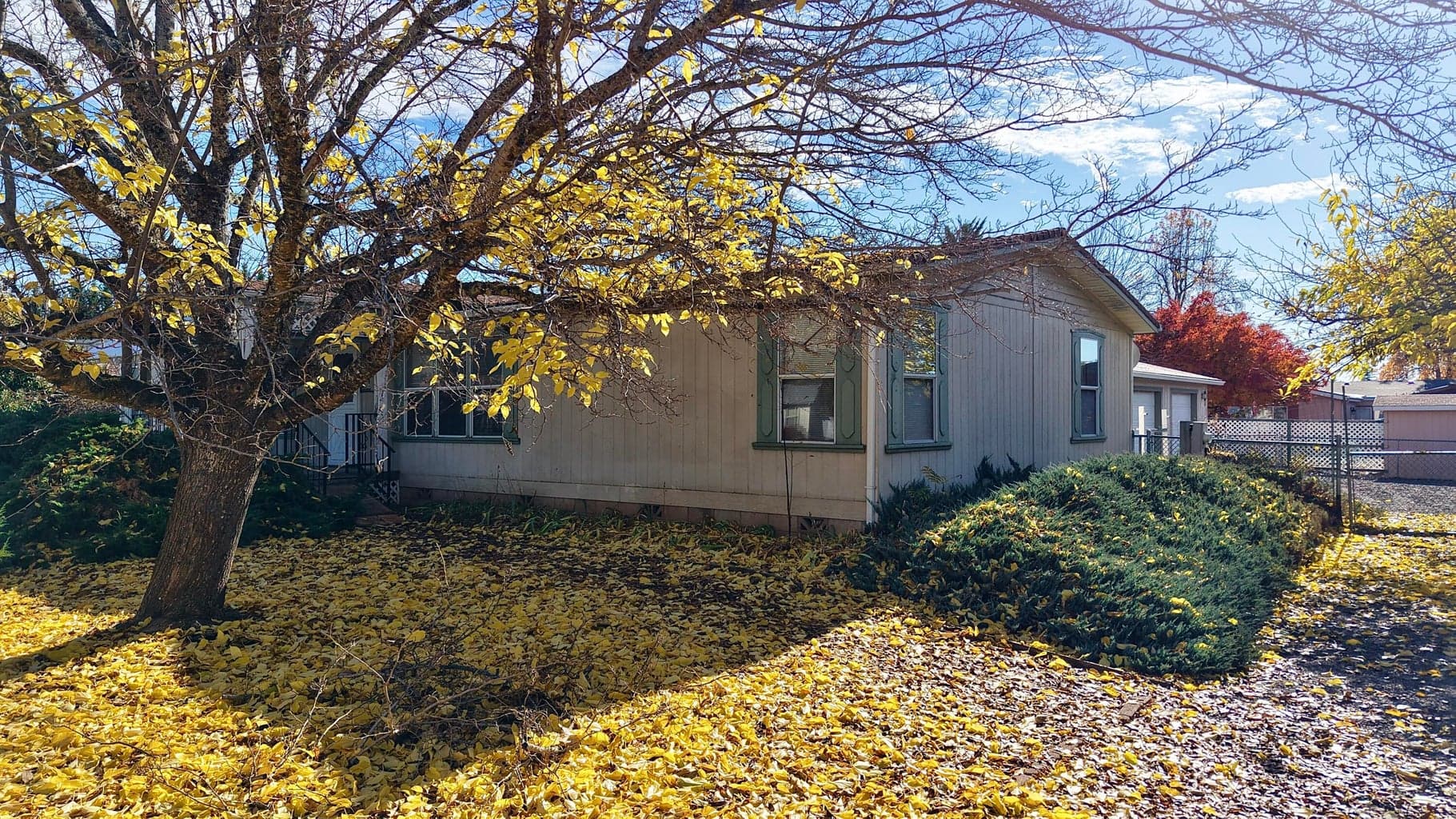 Photo of 501 Buckhorn 4 of 46