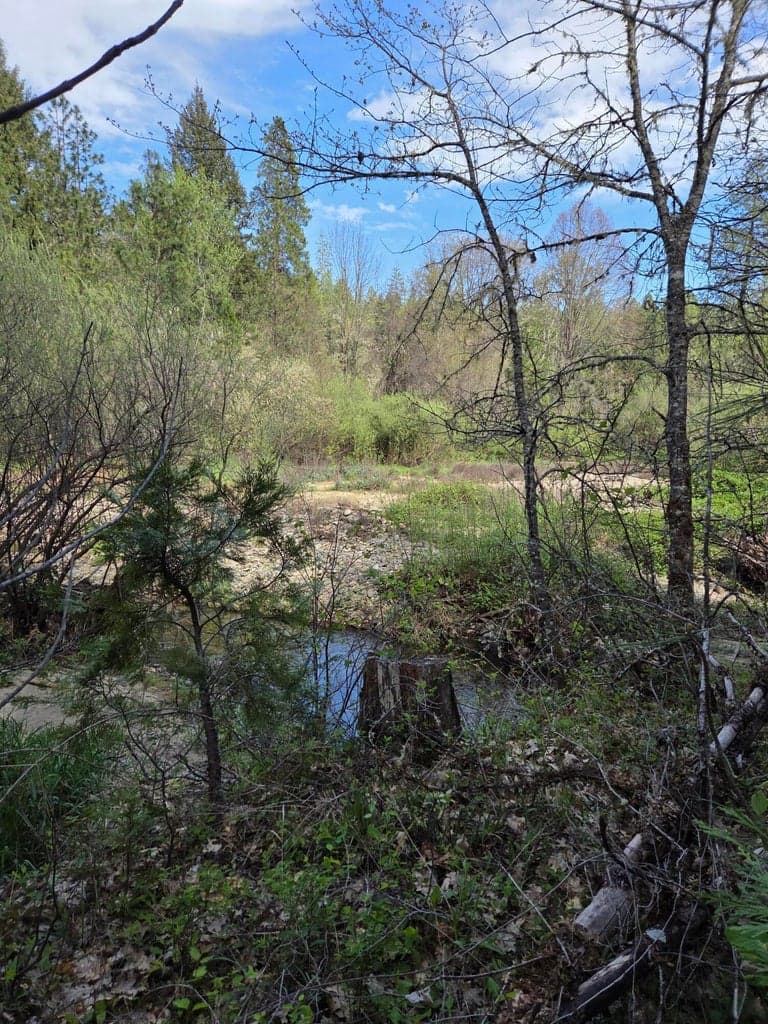 creek access. Property is on both sides of creek.