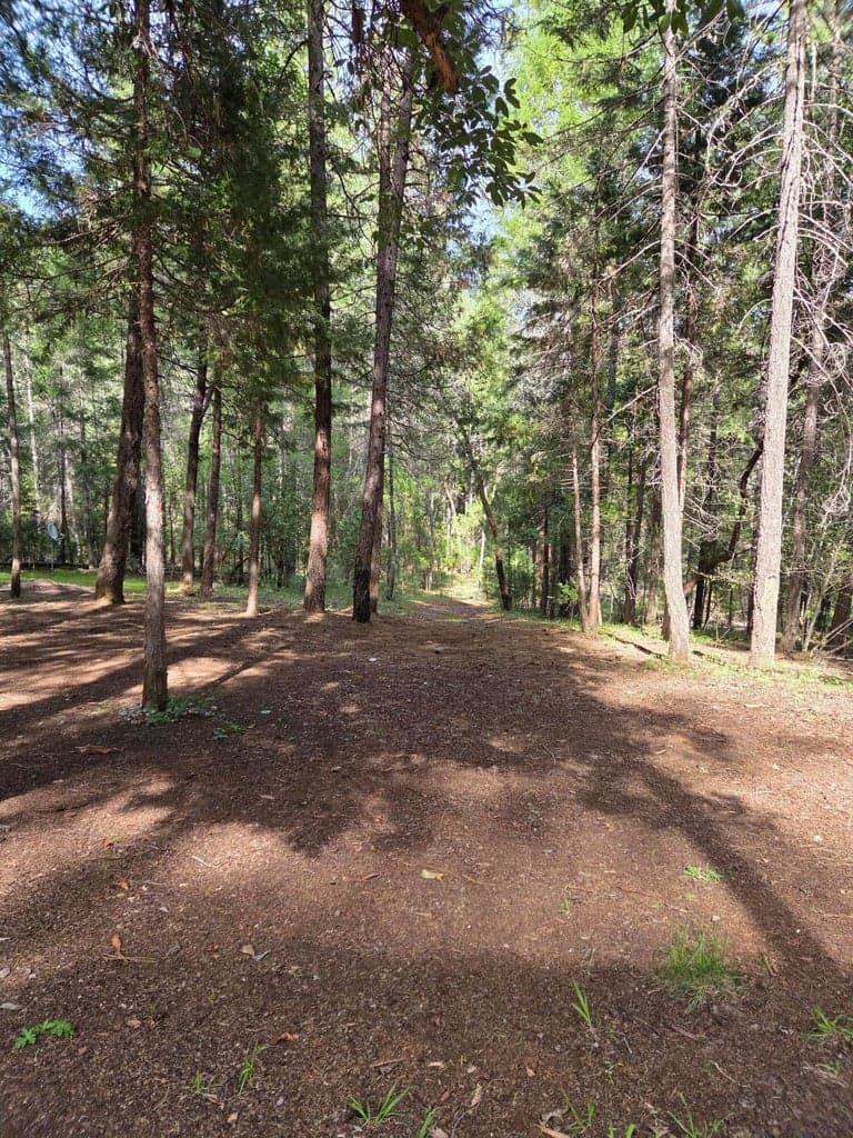 Photo of 3760 Pleasant Creek 5 of 36