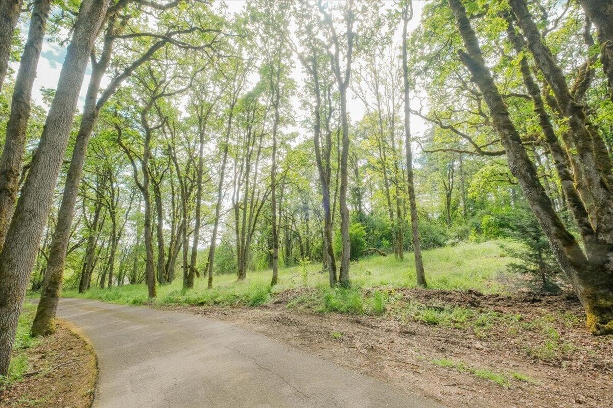 Photo of 0 Kouns Drive 5 of 28