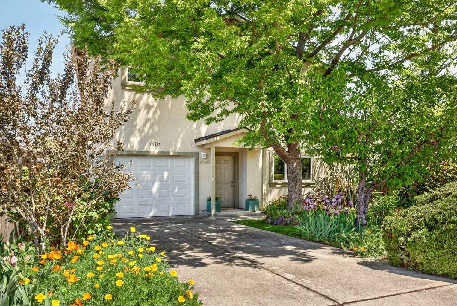Photo of 1501 Lithia 2 of 34