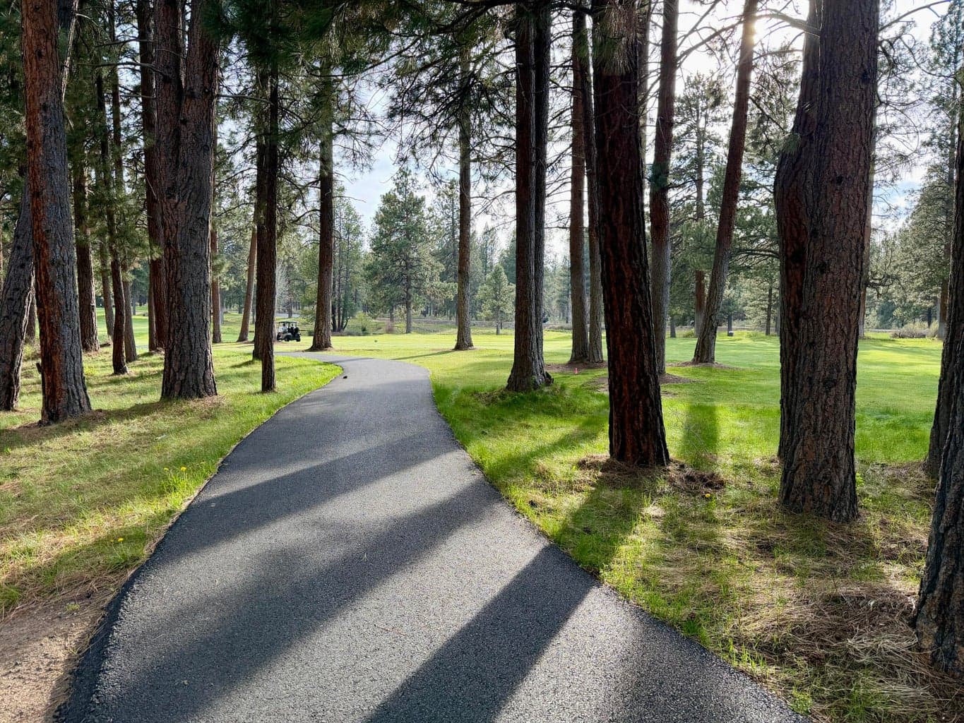 Photo of 60749 Golf Village 4 of 53