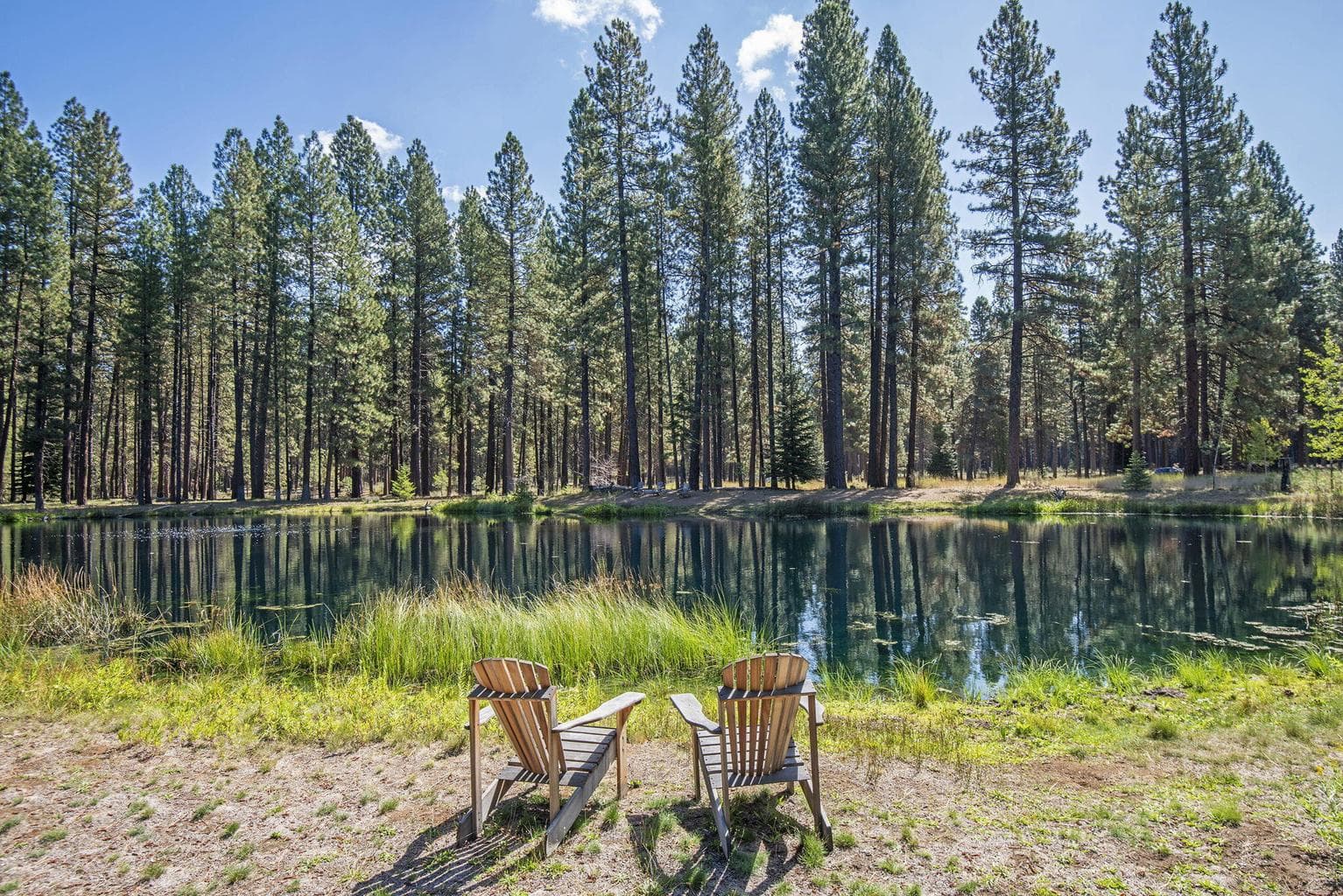 Photo of 13375 SW Forest Service Road 29 of 33