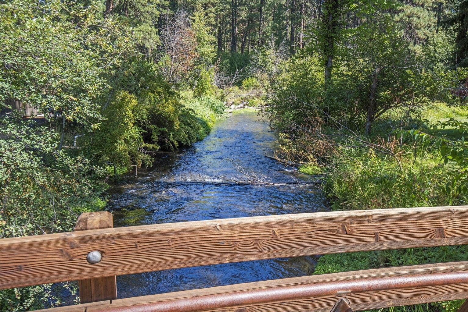 Photo of 13375 SW Forest Service Road 32 of 33