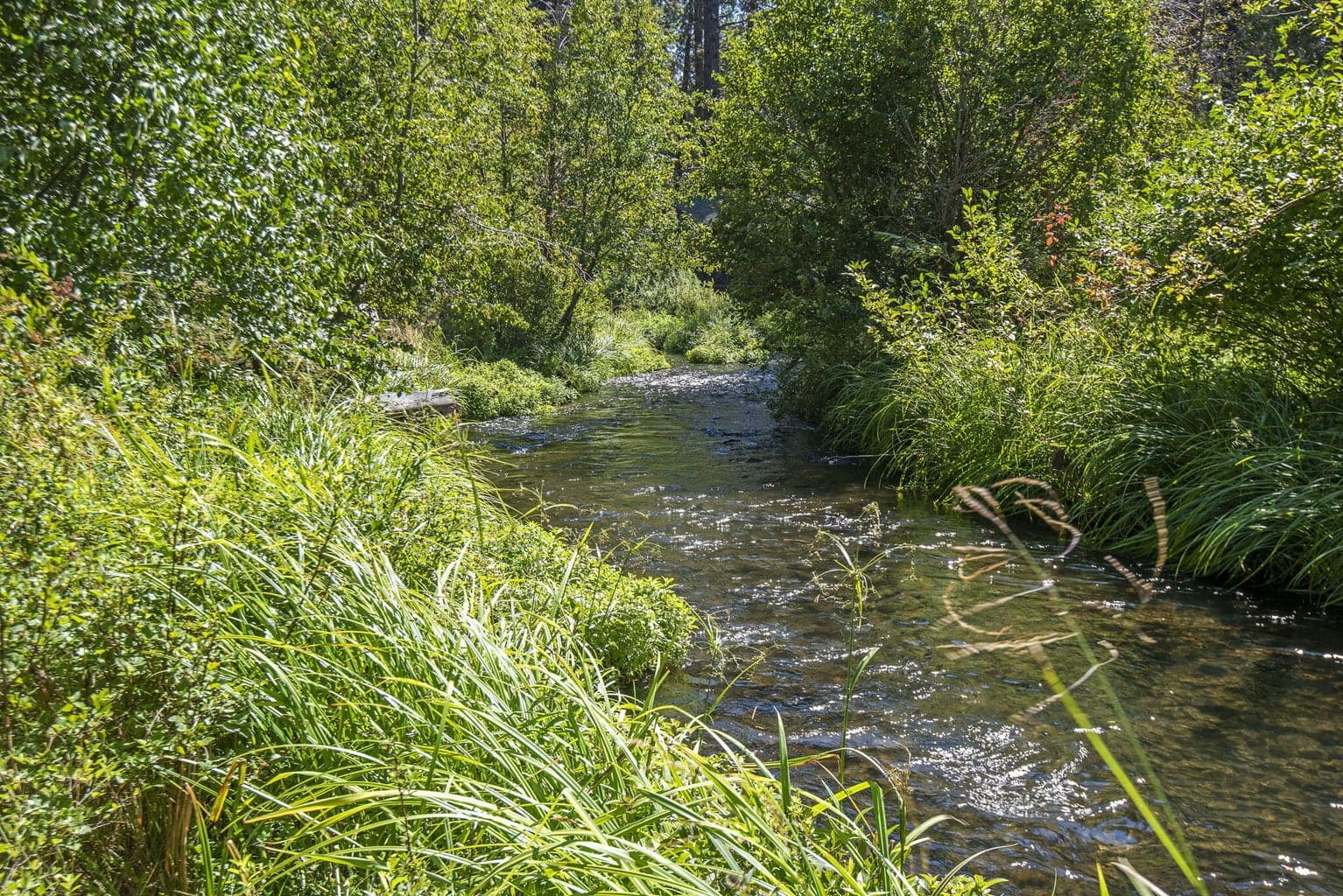 Photo of 13375 SW Forest Service Road 33 of 33