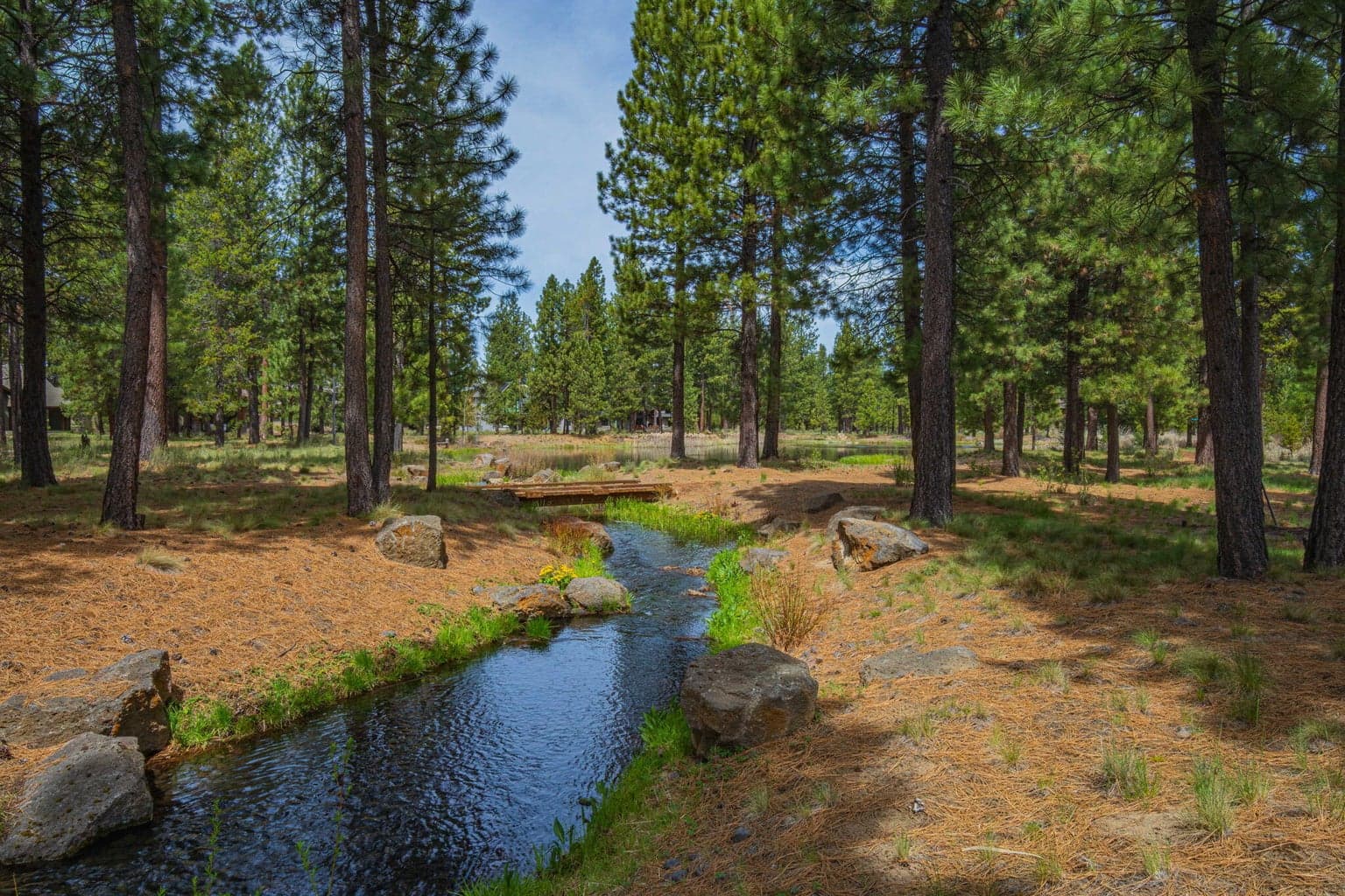 Stream feeding Fireglass Lake.