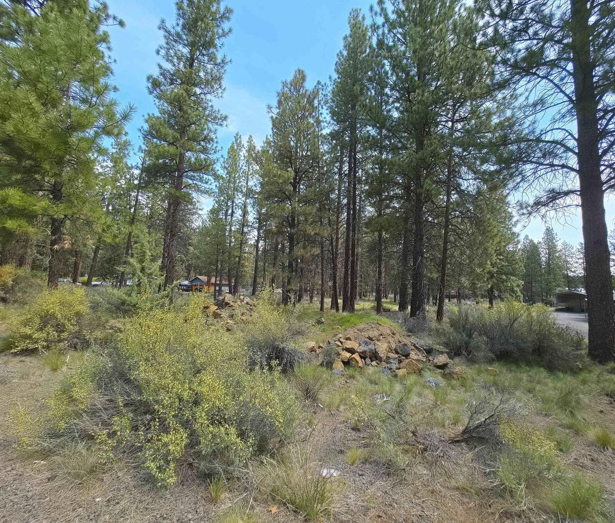 Mature trees