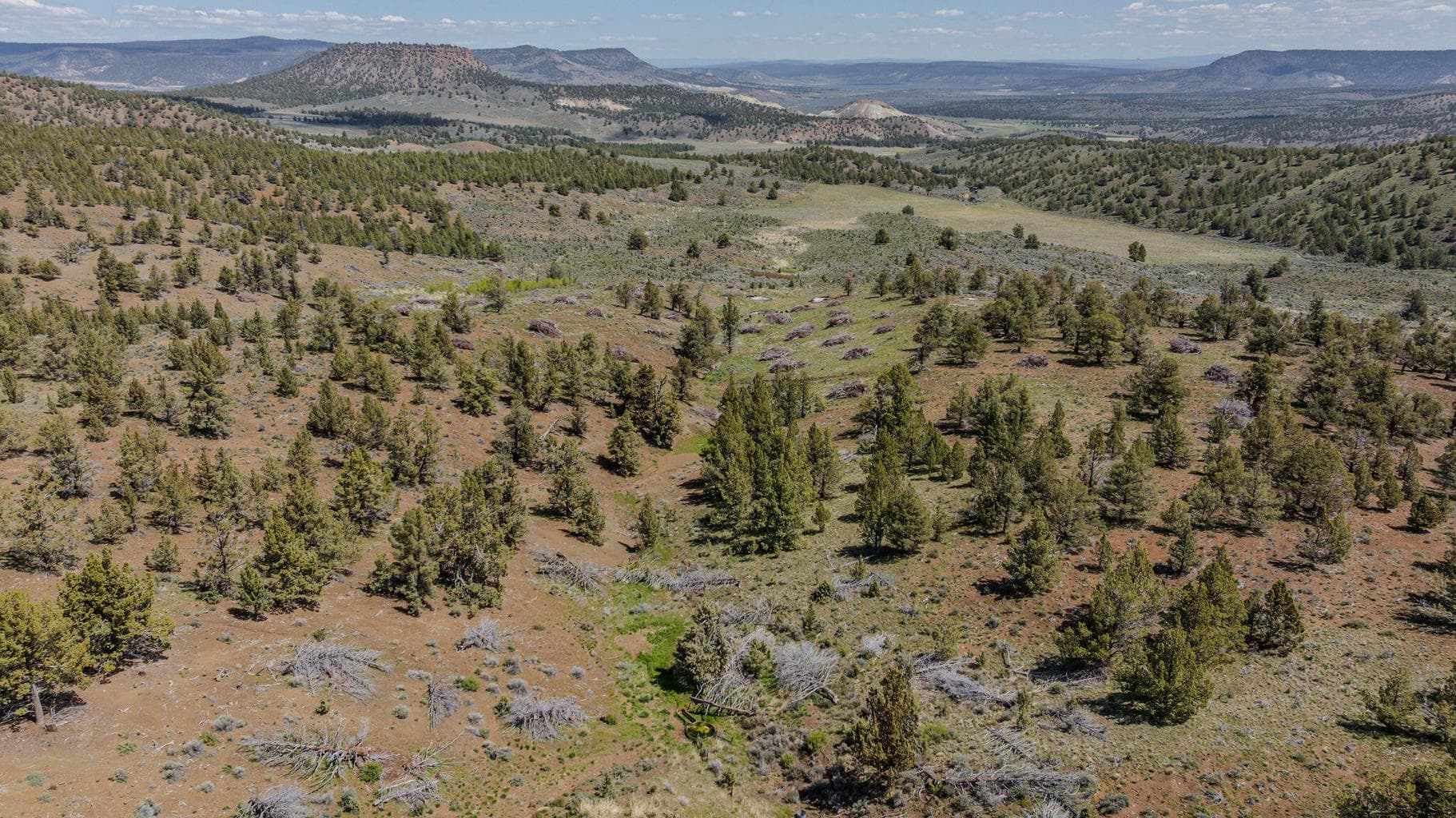 Photo of 41221 Van Lake Road 127 of 191
