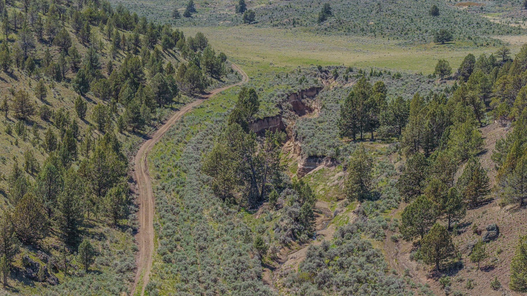 Photo of 41221 Van Lake Road 141 of 191