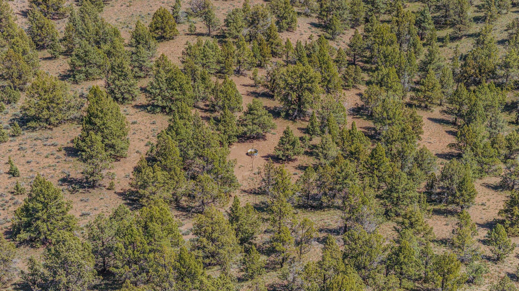 Photo of 41221 Van Lake Road 149 of 191
