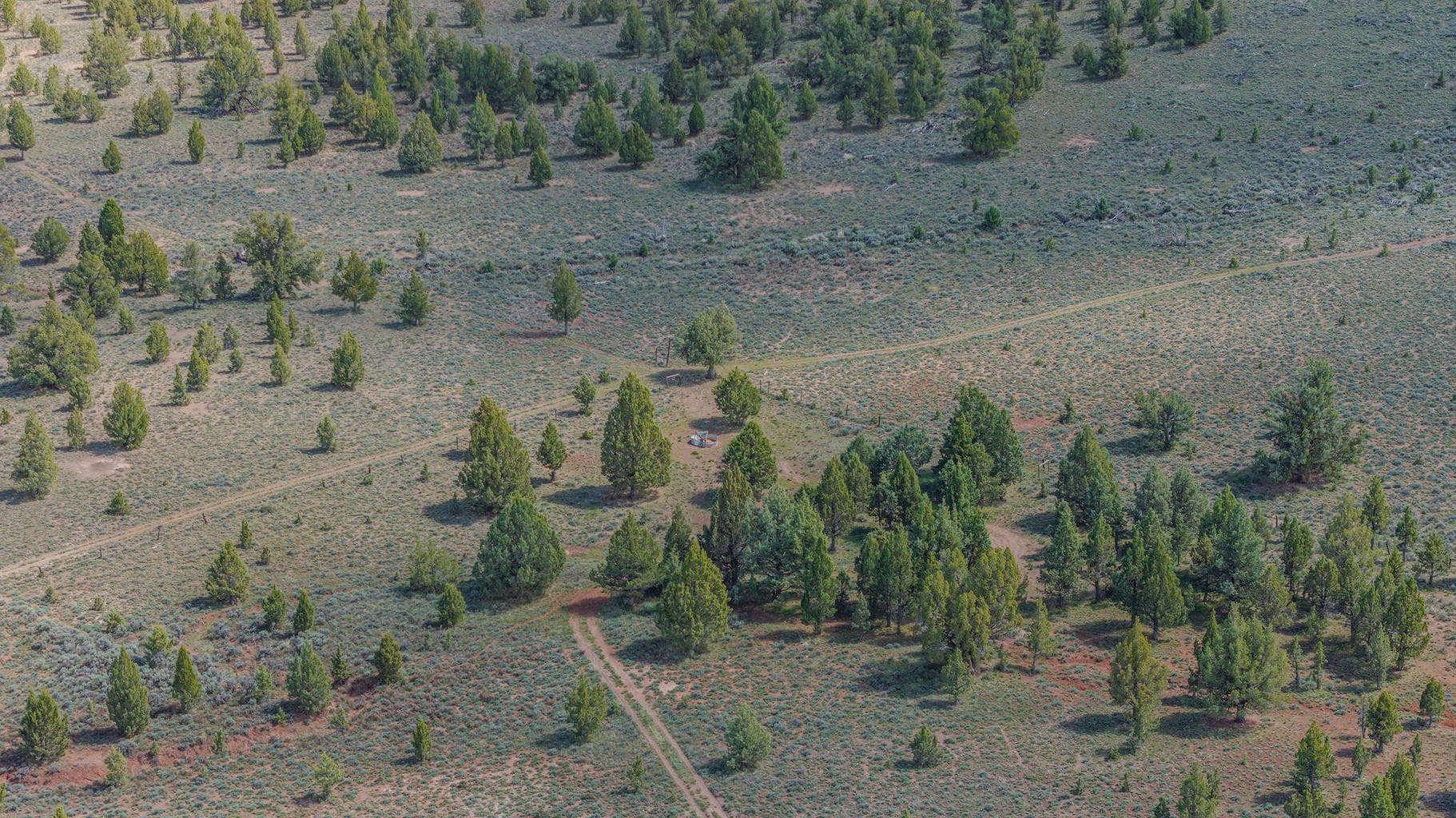 Photo of 41221 Van Lake Road 156 of 191