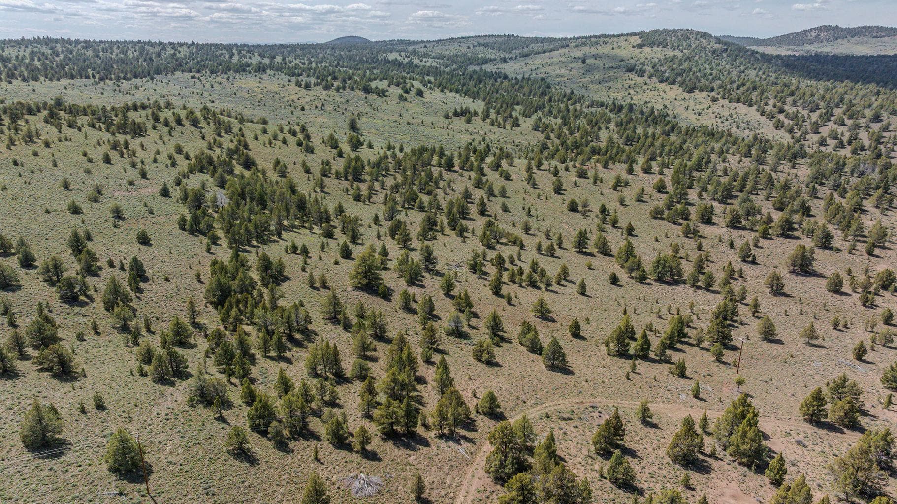 Photo of 41221 Van Lake Road 158 of 191