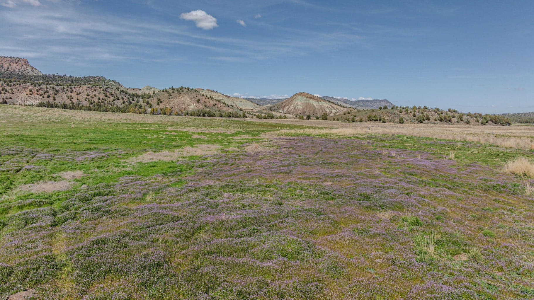 Photo of 41221 Van Lake Road 161 of 191