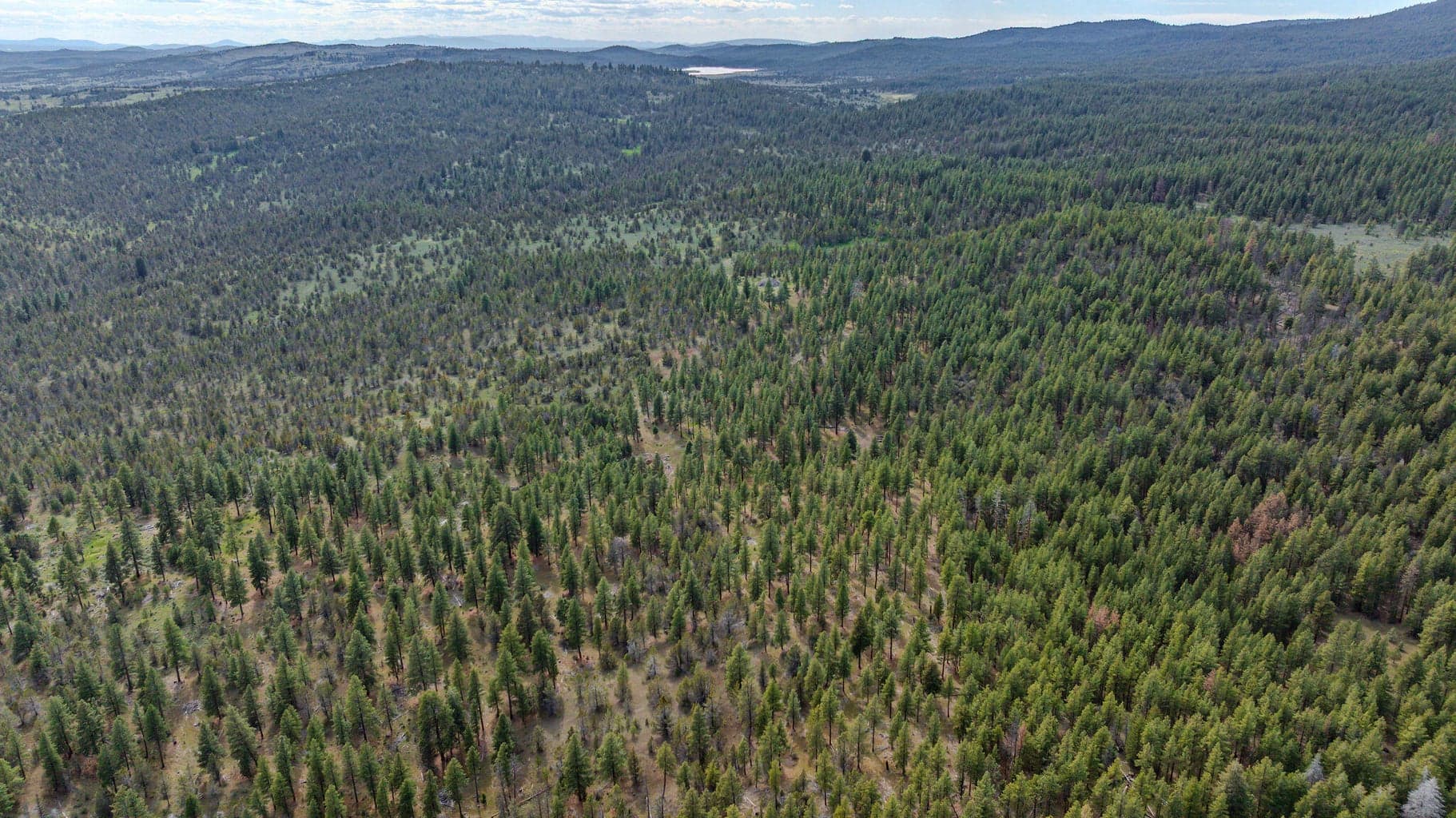 Photo of 41221 Van Lake Road 174 of 191