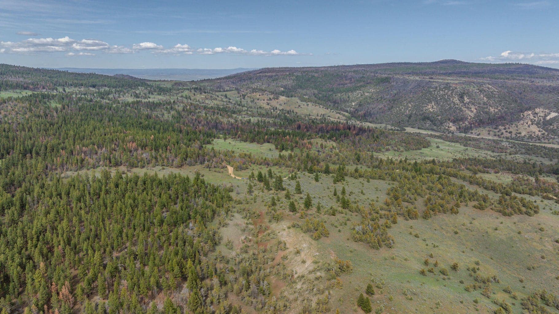 Photo of 41221 Van Lake Road 175 of 191