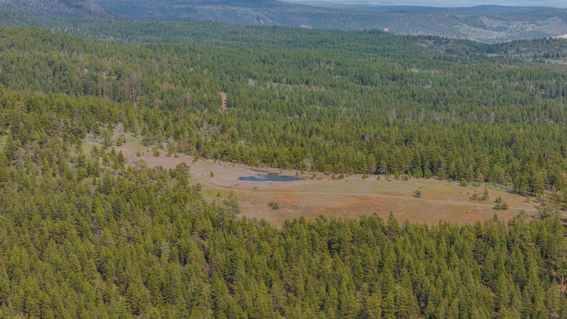 Photo of 41221 Van Lake Road 179 of 191