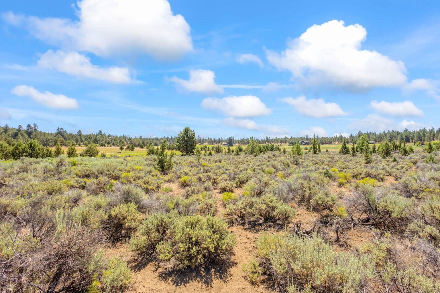Photo of 69343 Hinkle Butte 3 of 23