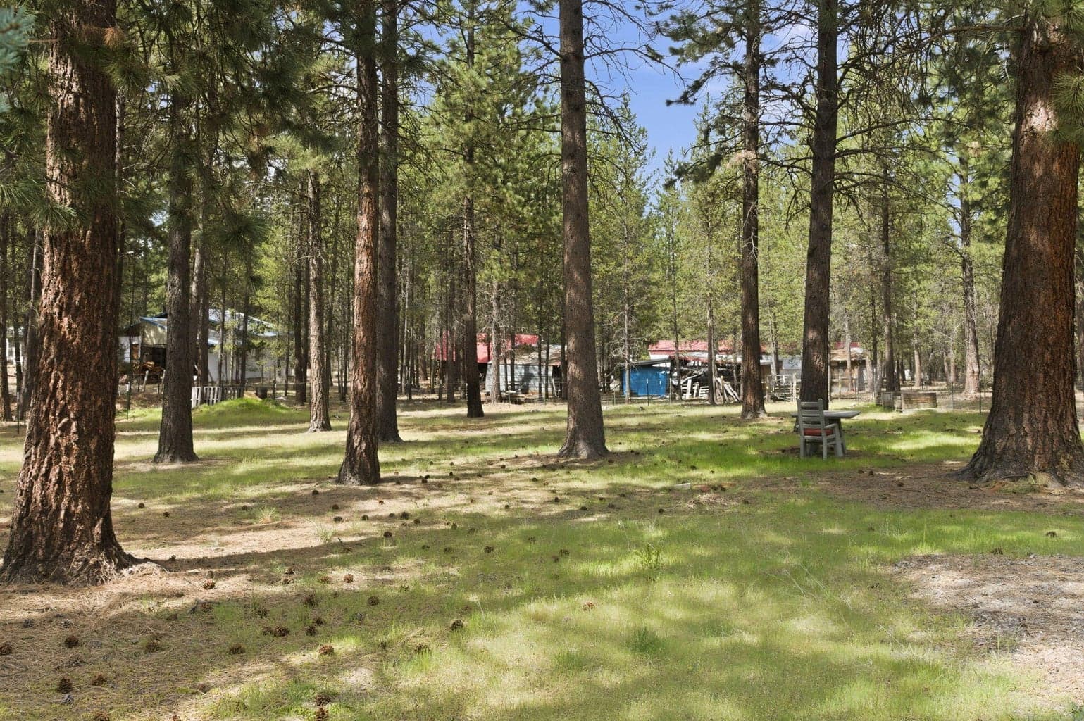 Photo of 15884 Yellowood Court 23 of 25