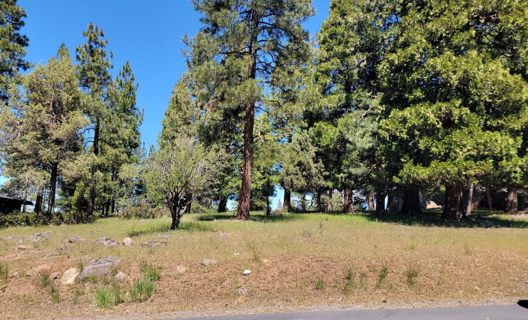 A very buildable lot with lake views!