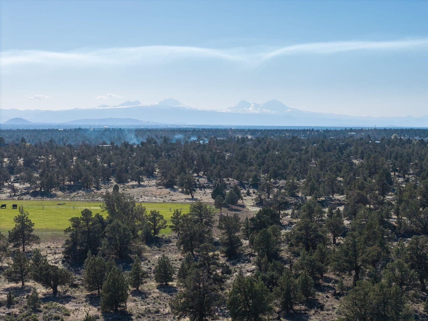 Photo of 25606 Alfalfa Market 1 of 40