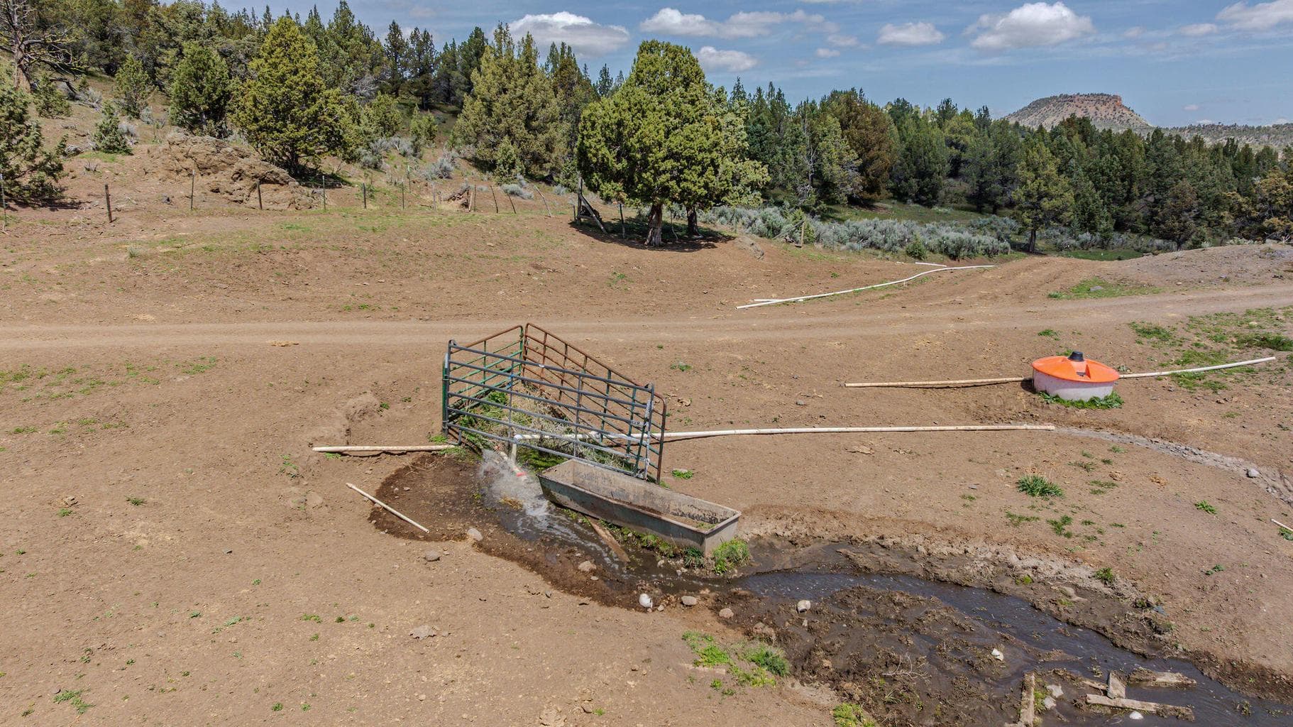Photo of 41225 Van Lake Road 110 of 181
