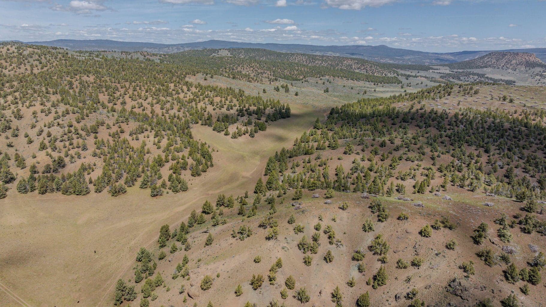 Photo of 41225 Van Lake Road 113 of 181