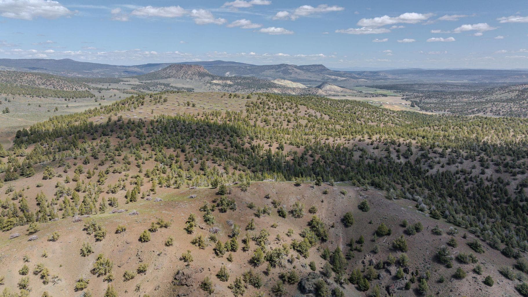 Photo of 41225 Van Lake Road 114 of 181