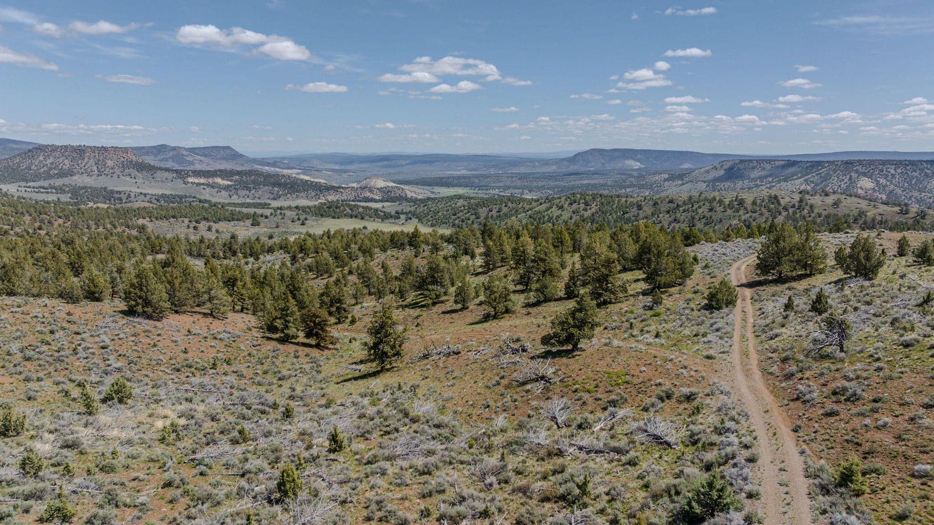 Photo of 41225 Van Lake Road 115 of 181