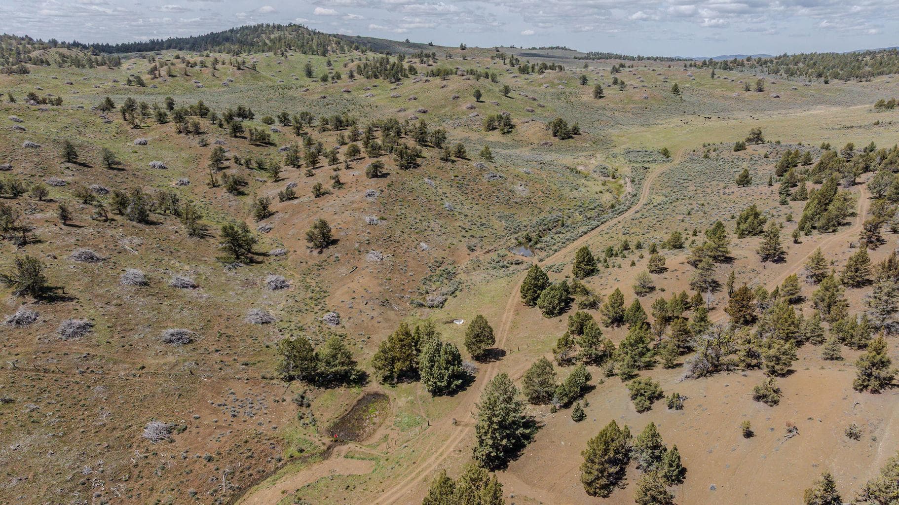 Photo of 41225 Van Lake Road 120 of 181
