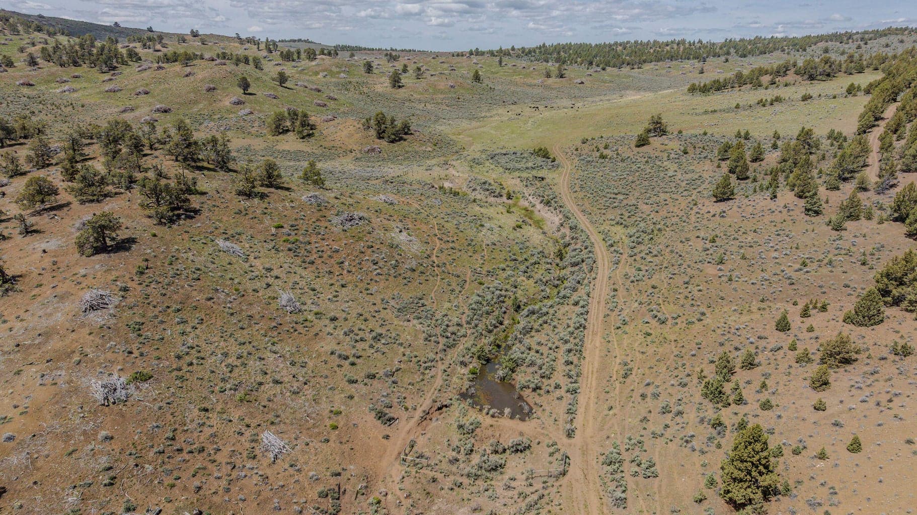 Photo of 41225 Van Lake Road 121 of 181