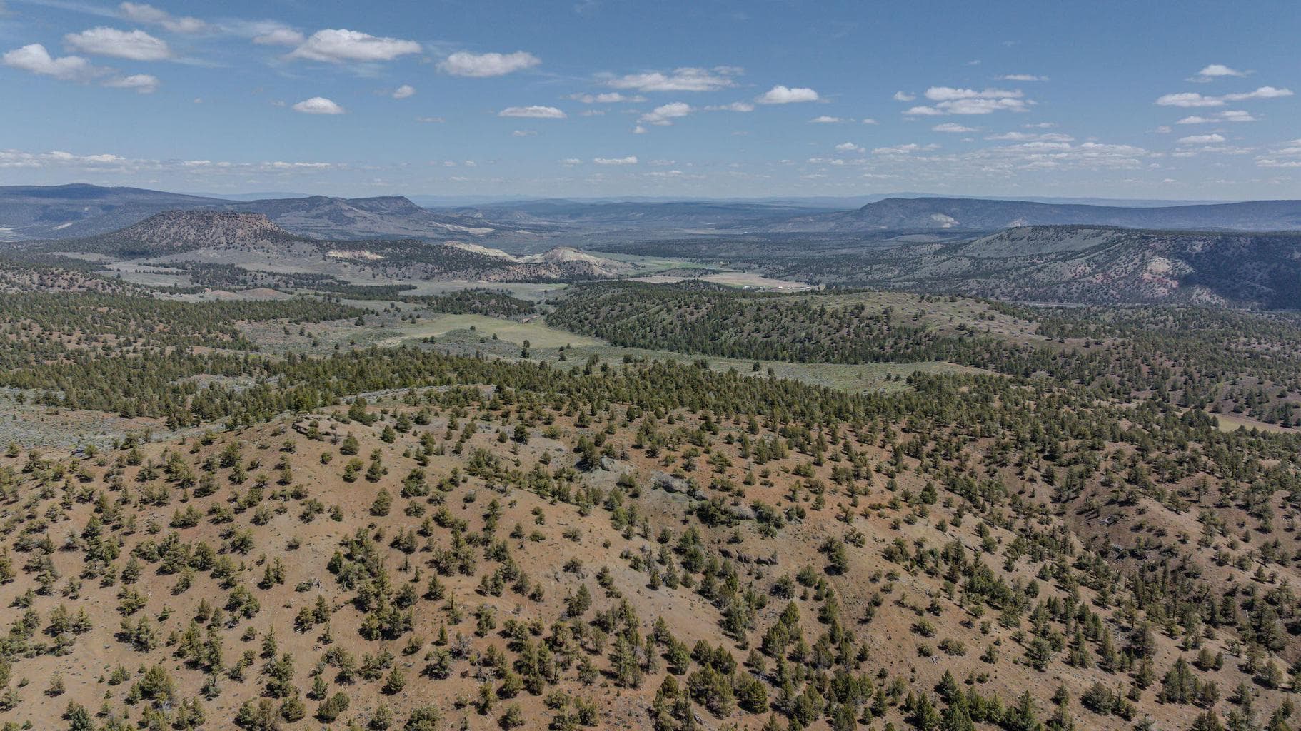 Photo of 41225 Van Lake Road 125 of 181