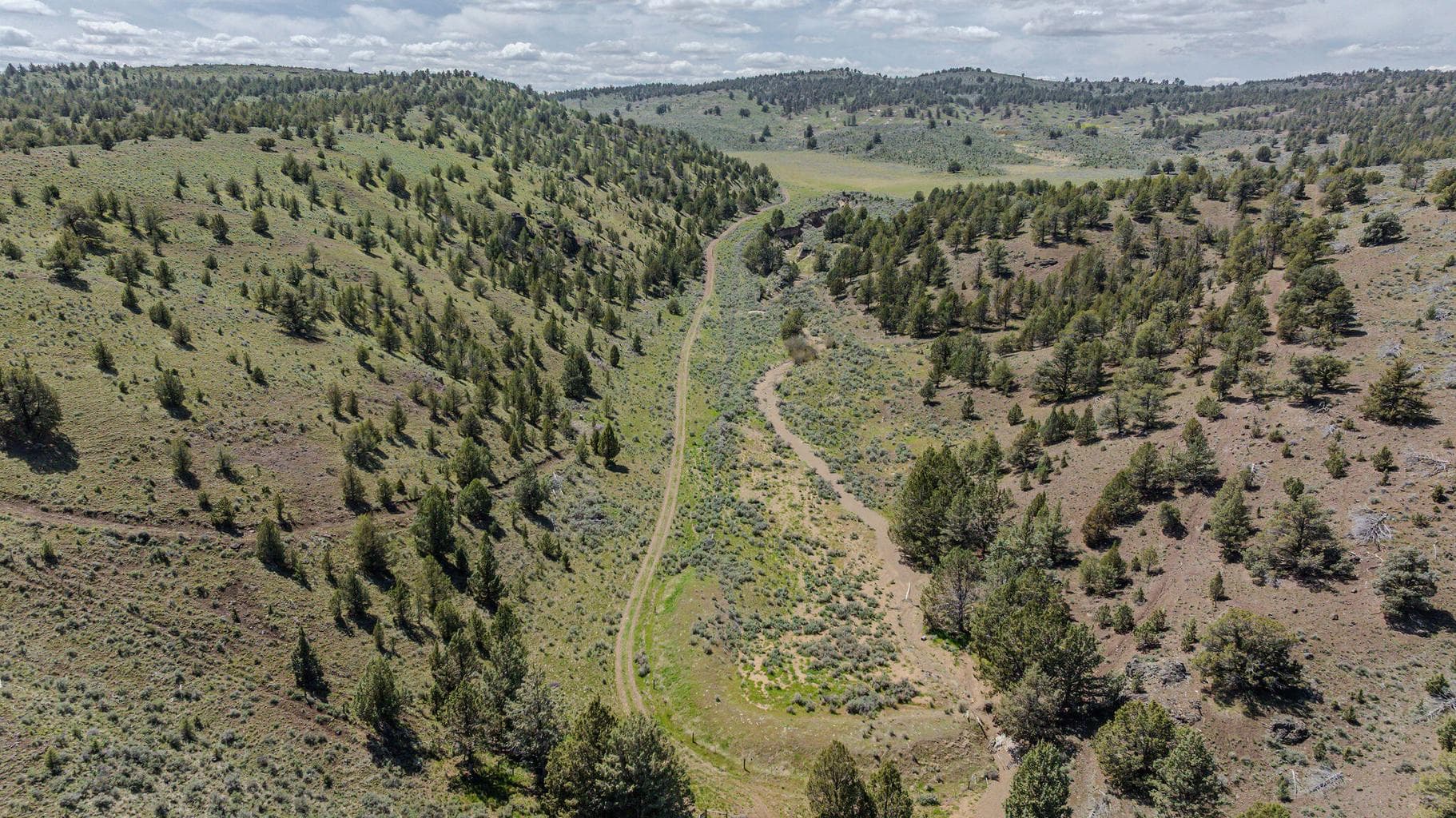Photo of 41225 Van Lake Road 141 of 181