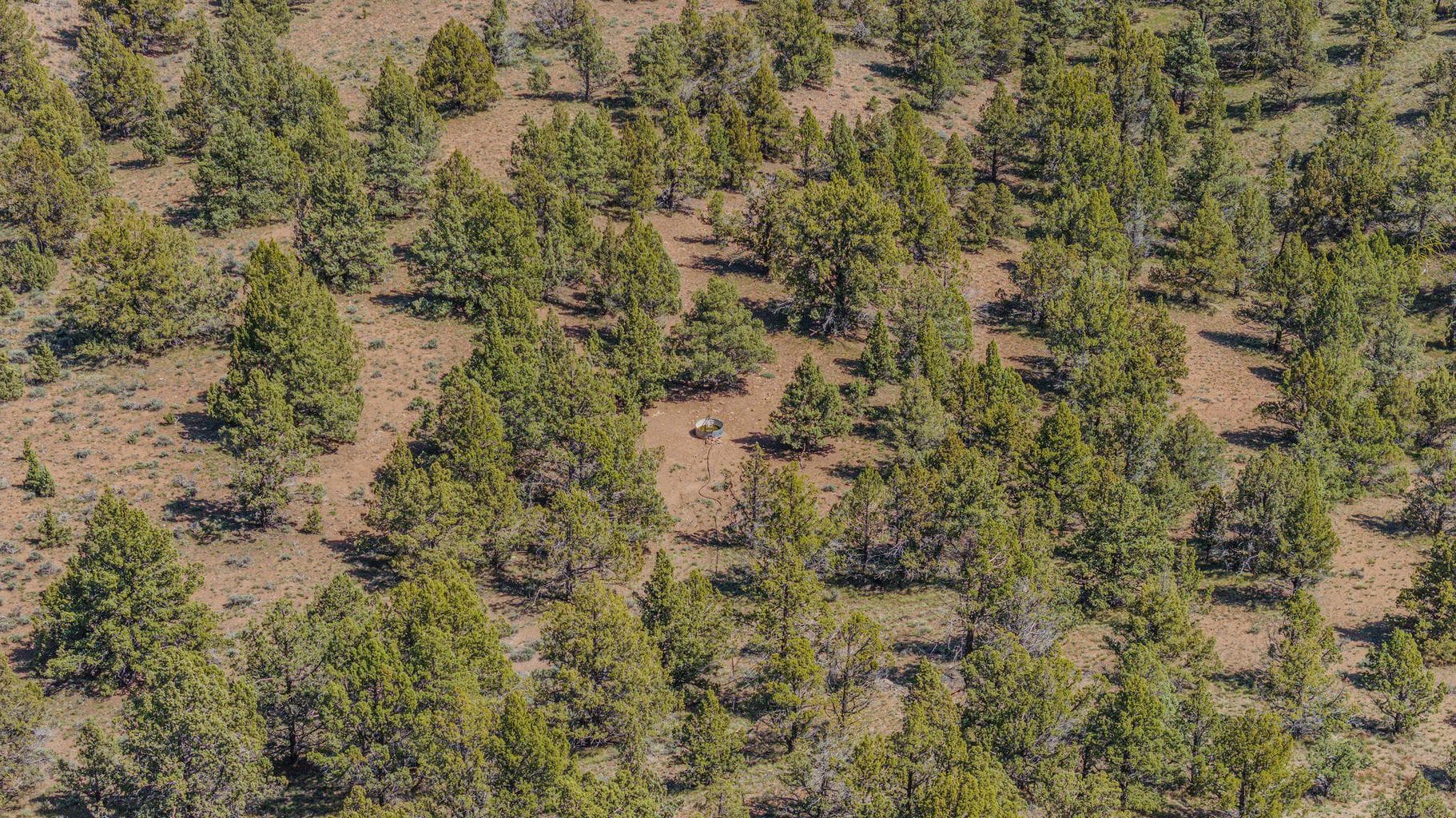 Photo of 41225 Van Lake Road 150 of 181