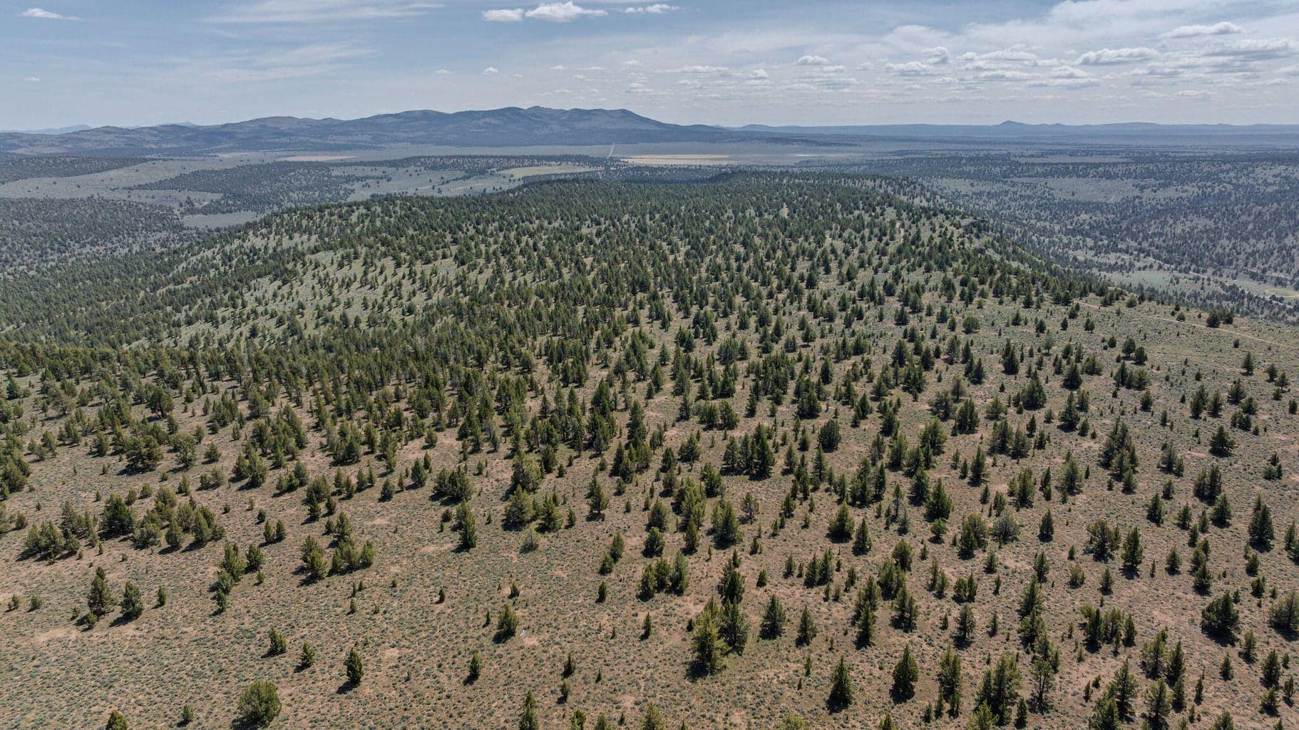 Photo of 41225 Van Lake Road 152 of 181