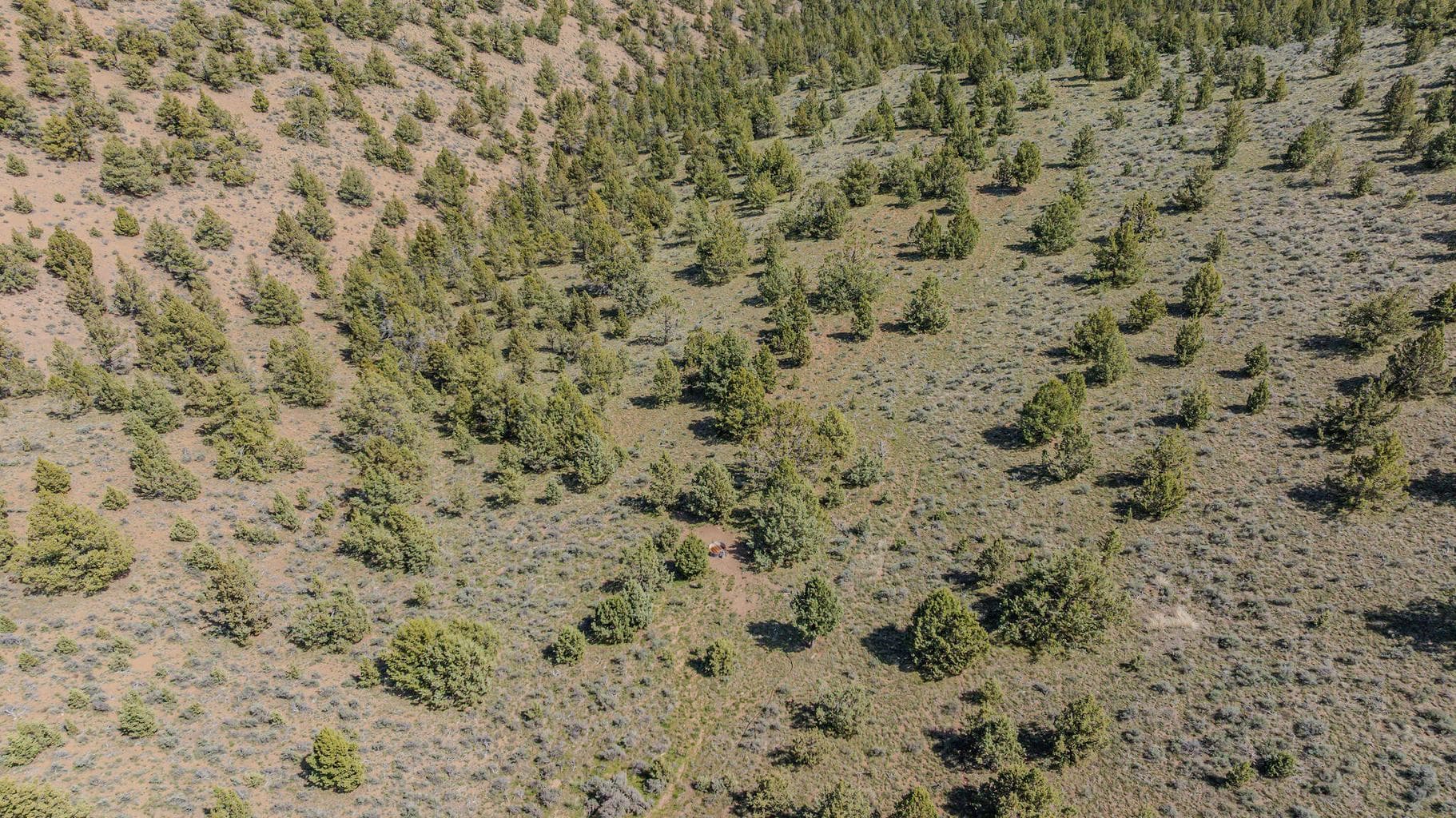 Photo of 41225 Van Lake Road 154 of 181